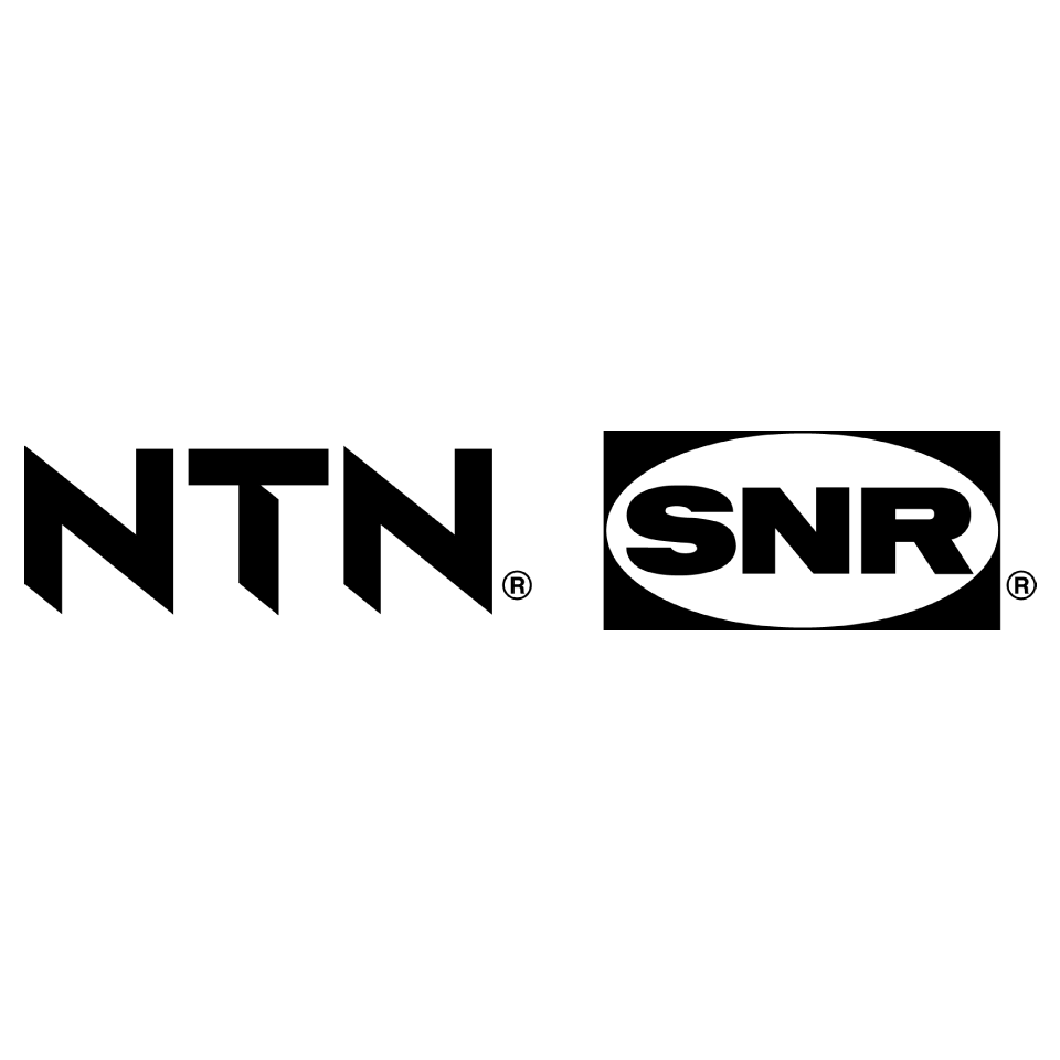 Logo_NTN-SNR